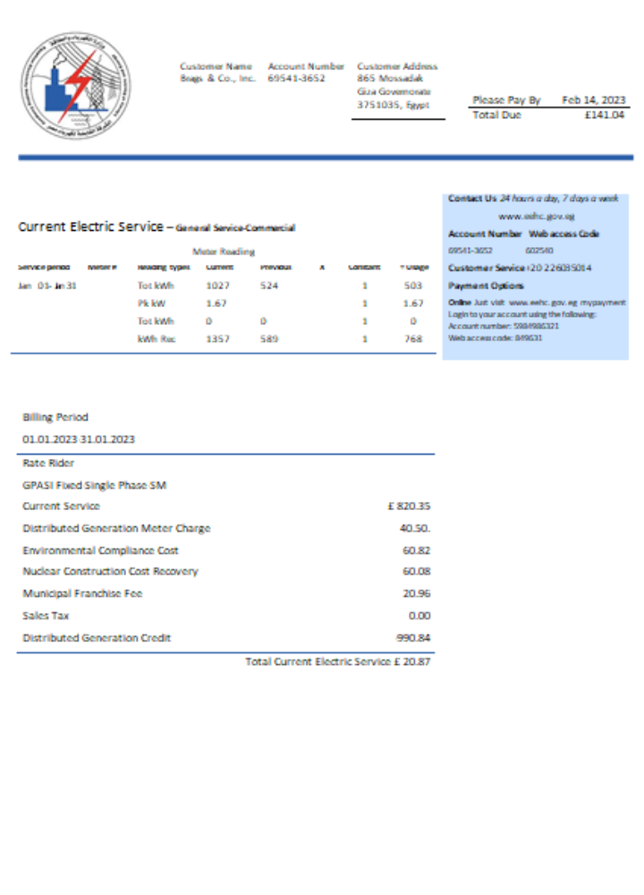 Download Egyptian Electricity utility business bill,  SCR Photoshop template